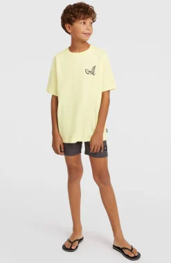 Enfant O'Neill Maillots De Bain|Protection Anti-Uv-EnfantsShort de bain Logo Stripe| Bleu Mix