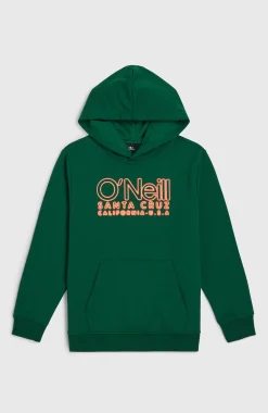 Enfant O'Neill Protection Anti-Uv|Sweats & Pulls-EnfantsSweat à capuche Essentials| Vert