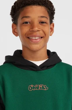 Enfant O'Neill Protection Anti-Uv|Sweats & Pulls-EnfantsSweat à capuche FWC'Play| Vert Mix