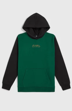 Enfant O'Neill Protection Anti-Uv|Sweats & Pulls-EnfantsSweat à capuche FWC'Play| Vert Mix