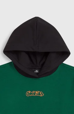 Enfant O'Neill Protection Anti-Uv|Sweats & Pulls-EnfantsSweat à capuche FWC'Play| Vert Mix