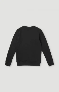 Enfant O'Neill Protection Anti-Uv|Sweats & Pulls-EnfantsSweatshirt à col rond Logo| Noire
