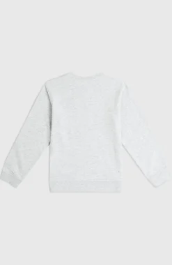 Enfant O'Neill Protection Anti-Uv|Sweats & Pulls-EnfantsSweatshirt à col rond Essentials| Blanc