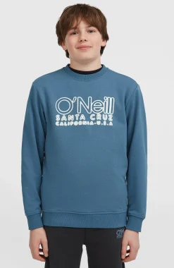 Enfant O'Neill Protection Anti-Uv|Sweats & Pulls-EnfantsSweatshirt à col rond Essentials| Bleu