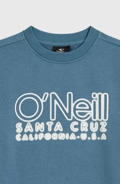 Enfant O'Neill Protection Anti-Uv|Sweats & Pulls-EnfantsSweatshirt à col rond Essentials| Bleu