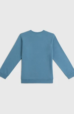 Enfant O'Neill Protection Anti-Uv|Sweats & Pulls-EnfantsSweatshirt à col rond Essentials| Bleu