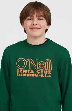 Enfant O'Neill Protection Anti-Uv|Sweats & Pulls-EnfantsSweatshirt à col rond Essentials| Vert