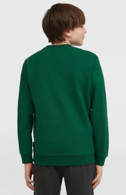 Enfant O'Neill Protection Anti-Uv|Sweats & Pulls-EnfantsSweatshirt à col rond Essentials| Vert