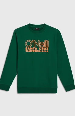 Enfant O'Neill Protection Anti-Uv|Sweats & Pulls-EnfantsSweatshirt à col rond Essentials| Vert
