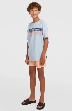 Enfant O'Neill Protection Anti-Uv|T-Shirts-EnfantsT-shirt Logo Stripe| Bleu