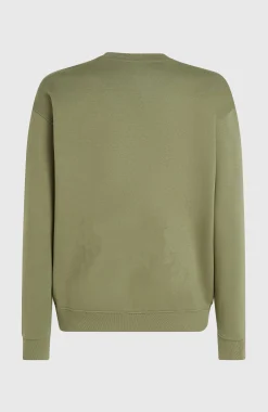 Homme O'Neill Sweats & Pulls|Protection Anti-Uv-HommesPull Future Surf Society Crew| Vert