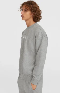 Homme O'Neill Sweats & Pulls|Protection Anti-Uv-HommesPull Future Surf Society Crew| Gris