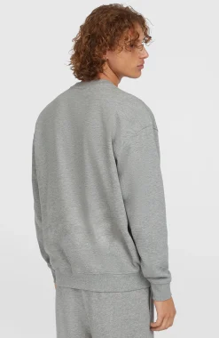 Homme O'Neill Sweats & Pulls|Protection Anti-Uv-HommesPull Future Surf Society Crew| Gris
