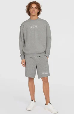 Homme O'Neill Sweats & Pulls|Protection Anti-Uv-HommesPull Future Surf Society Crew| Gris
