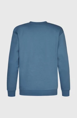 Homme O'Neill Sweats & Pulls|Protection Anti-Uv-HommesPull Future Surf Society Crew| Bleu