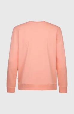 Homme O'Neill Sweats & Pulls|Protection Anti-Uv-HommesPull California Graphic Crew| Rose