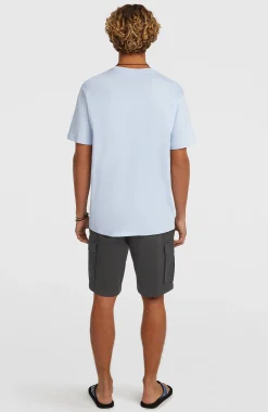 Homme O'Neill Shorts|Protection Anti-Uv-HommesShort cargo Essentials| Gris