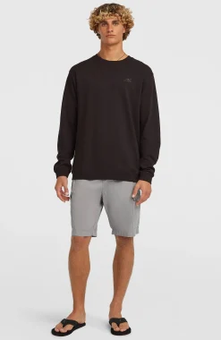 Homme O'Neill Shorts|Protection Anti-Uv-HommesShort cargo Essentials Ripstop| Gris