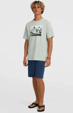 Homme O'Neill Shorts|Protection Anti-Uv-HommesShort cargo Essentials Ripstop| Bleu