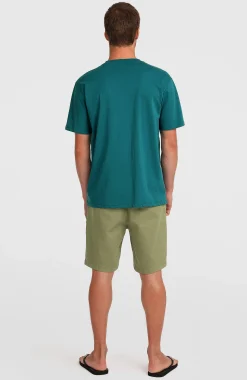 Homme O'Neill Shorts|Protection Anti-Uv-HommesShort chino Essentials| Vert