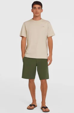 Homme O'Neill Shorts|Shorts Hybrid-HommesShort chino Hybrid 19| Vert