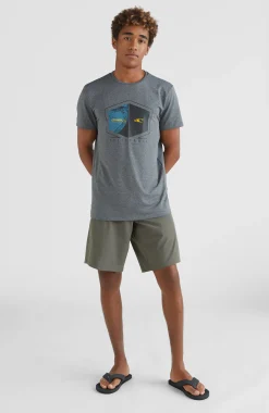 Homme O'Neill Shorts|Shorts Hybrid-HommesShort chino Hybrid| Vert