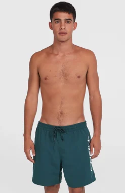 Homme O'Neill Shorts De Bain|Protection Anti-Uv-HommesShort de bain Cali 16''| Bleu