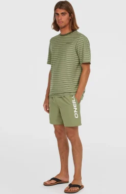 Homme O'Neill Shorts De Bain|Protection Anti-Uv-HommesShort de bain Cali 16''| Vert