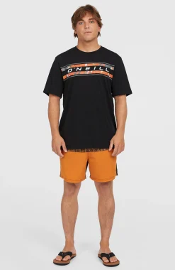 Homme O'Neill Shorts De Bain|Protection Anti-Uv-HommesShort de bain Cali Block15''| Orange