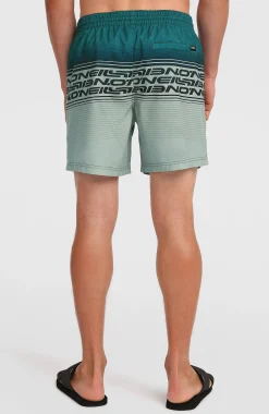 Homme O'Neill Shorts De Bain|Protection Anti-Uv-HommesShort de bain Logo Stripe 16''|