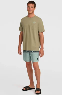Homme O'Neill Shorts De Bain|Protection Anti-Uv-HommesShort de bain Logo Stripe 16''|
