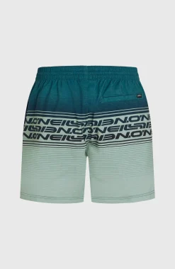 Homme O'Neill Shorts De Bain|Protection Anti-Uv-HommesShort de bain Logo Stripe 16''|