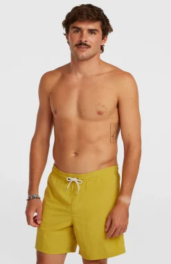 Homme O'Neill Shorts De Bain|Protection Anti-Uv-HommesShort de bain Vert 16''| Jaune
