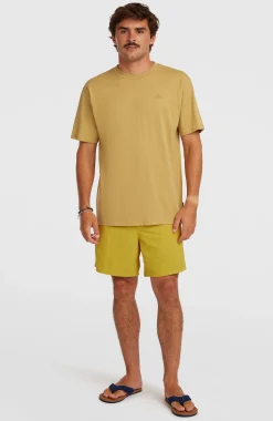 Homme O'Neill Shorts De Bain|Protection Anti-Uv-HommesShort de bain Vert 16''| Jaune