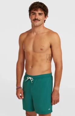 Homme O'Neill Shorts De Bain|Protection Anti-Uv-HommesShort de bain Vert 16''| Vert
