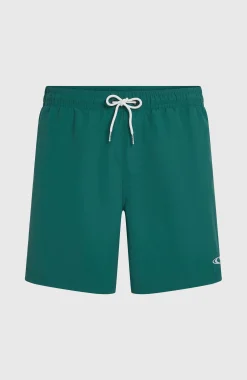 Homme O'Neill Shorts De Bain|Protection Anti-Uv-HommesShort de bain Vert 16''| Vert