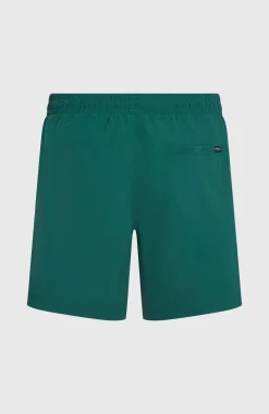 Homme O'Neill Shorts De Bain|Protection Anti-Uv-HommesShort de bain Vert 16''| Vert