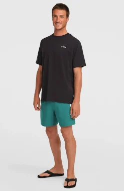 Homme O'Neill Shorts De Bain|Protection Anti-Uv-HommesShort de bain Logo 16''| Vert