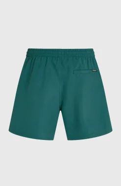 Homme O'Neill Shorts De Bain|Protection Anti-Uv-HommesShort de bain Logo 16''| Vert