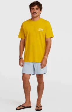 Homme O'Neill Shorts De Bain|Protection Anti-Uv-HommesShort de bain Cali 16''| Bleu