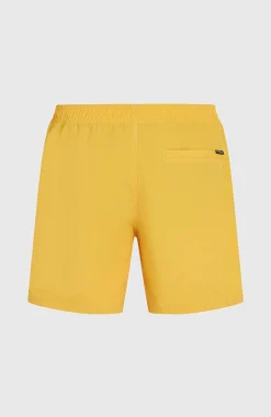 Homme O'Neill Shorts De Bain|Protection Anti-Uv-HommesShort de bain Vert 16''| Jaune