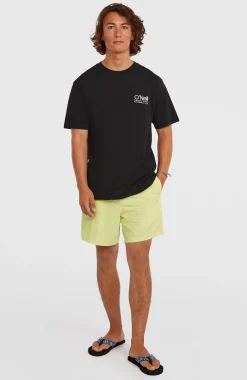 Homme O'Neill Shorts De Bain|Protection Anti-Uv-HommesShort de bain Vert 16''| Jaune