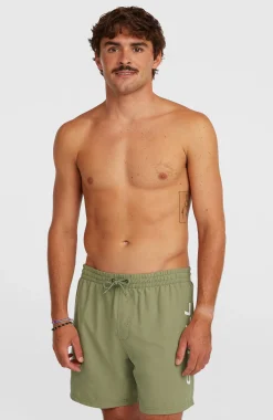 Homme O'Neill Shorts De Bain|Protection Anti-Uv-HommesShort de bain Logo 16''| Vert