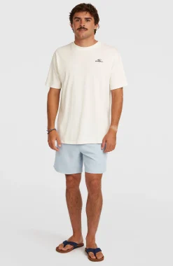 Homme O'Neill Shorts De Bain|Protection Anti-Uv-HommesShort de bain Logo 16''| Bleu