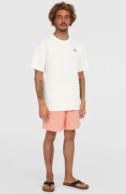 Homme O'Neill Shorts De Bain|Protection Anti-Uv-HommesShort de bain Vert 16''| Rose