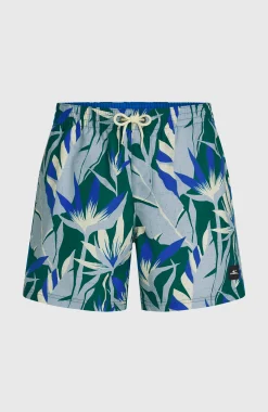 Homme O'Neill Shorts De Bain|Protection Anti-Uv-HommesShort de bain Print 16| Bleu