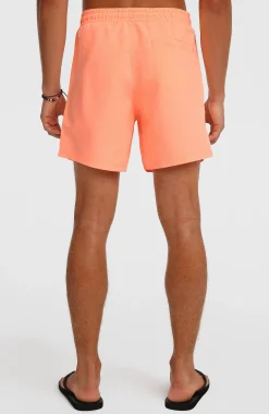 Homme O'Neill Shorts De Bain|Protection Anti-Uv-HommesShort de bain Vert 16''| Orange