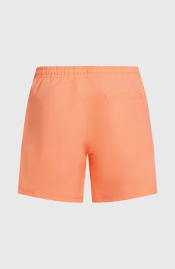 Homme O'Neill Shorts De Bain|Protection Anti-Uv-HommesShort de bain Vert 16''| Orange