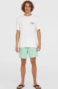 Homme O'Neill Shorts De Bain|Protection Anti-Uv-HommesShort de bain Original Cali 16''| Vert