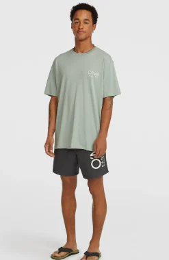 Homme O'Neill Shorts De Bain|Protection Anti-Uv-HommesShort de bain Original Cali 16''| Gris